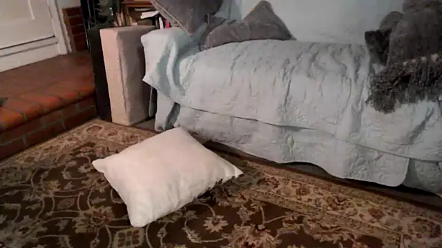 Snapshot of Dark_Asteroid chatting on February 2026 12:38:02 PM Dark Asteroid online show from February 2026 12:38:02 PM