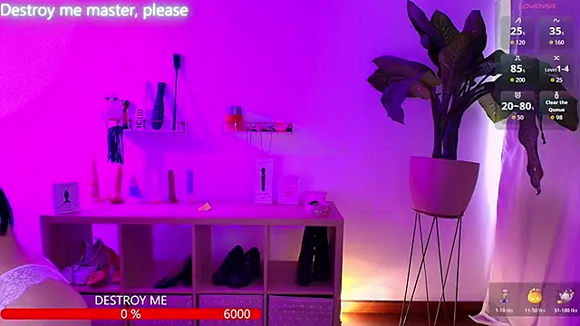 catha cat online show from November 2025 05:45:02 PM