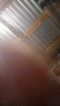 Moreno1813 online show from November 2025 06:13:01 AM