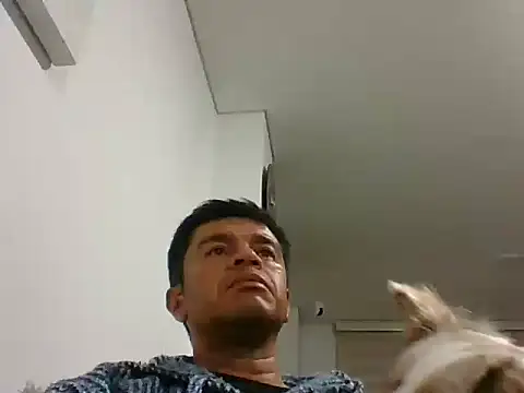 Snapshot of perxxxeo_ chatting on October 2025 01:38:01 AM perxxxeo  online show from October 2025 01:38:01 AM