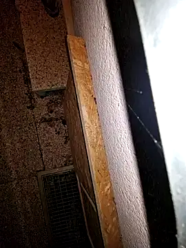 Snapshot of Lorent6969 chatting on September 2025 03:52:02 AM Lorent6969 online show from September 2025 03:52:02 AM