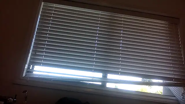 Snapshot of lilboygonewild chatting on September 2025 10:53:01 PM lilboygonewild online show from September 2025 10:53:01 PM