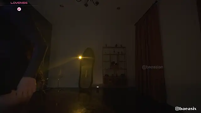 Snapshot of baeasian chatting on February 2026 11:19:01 PM baeasian online show from February 2026 11:19:01 PM