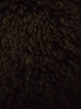 powermast online show from January 2026 02:43:01 PM