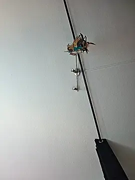 dieGeile0411 online show from October 2025 09:49:01 AM