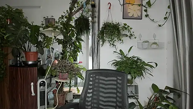 Oliver Nl online show from March 2026 05:03:02 AM