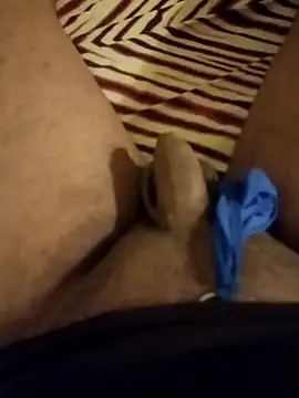 Snapshot of Indbd chatting on April 2026 11:41:02 AM Indbd online show from April 2026 11:41:02 AM