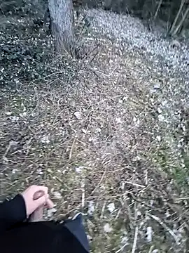 Picknick84 online show from March 2025 05:23:02 PM