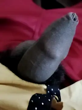 Ashish02345 online show from December 2024 06:50:01 PM