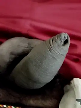 Ashish02345 online show from January 2025 08:22:01 PM