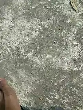 Snapshot of rana_cute chatting on February 2025 08:21:02 AM rana cute online show from February 2025 08:21:02 AM