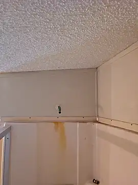 Snapshot of Dixiefaye_Pika chatting on February 2025 06:15:02 PM Dixiefaye Pika online show from February 2025 06:15:02 PM