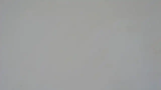 Snapshot of GiseleReine chatting on February 2025 01:33:01 PM GiseleReine online show from February 2025 01:33:01 PM