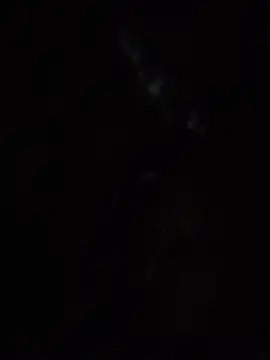 Snapshot of SassyAss_Coco chatting on April 2026 05:54:01 AM SassyAss Coco online show from April 2026 05:54:01 AM