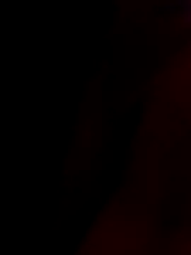 rau 4455 online show from November 2025 12:05:02 PM