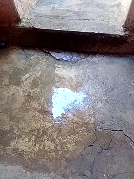 rau 4455 online show from November 2025 09:31:02 AM