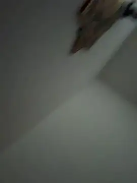 Snapshot of Kylie2211 chatting on March 2025 11:12:02 AM Kylie2211 online show from March 2025 11:12:02 AM