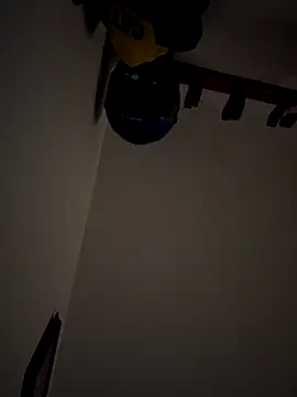 Snapshot of Kylie2211 chatting on December 2025 11:47:01 AM Kylie2211 online show from December 2025 11:47:01 AM