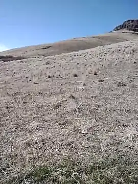 Snapshot of rockpimp chatting on March 2026 06:56:01 PM rockpimp online show from March 2026 06:56:01 PM