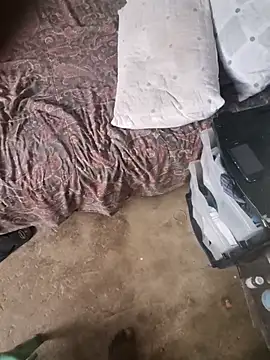 lazyeyes online show from November 2025 08:37:02 AM