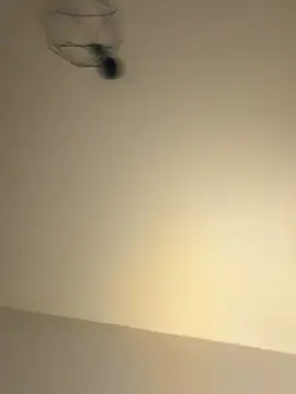 Guitccch online show from January 2026 06:33:02 PM