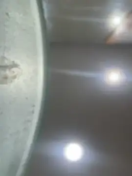 Mila Morgan online show from January 2025 01:51:02 AM