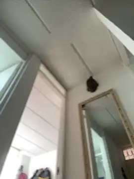 Mila Morgan online show from February 2025 02:43:02 PM