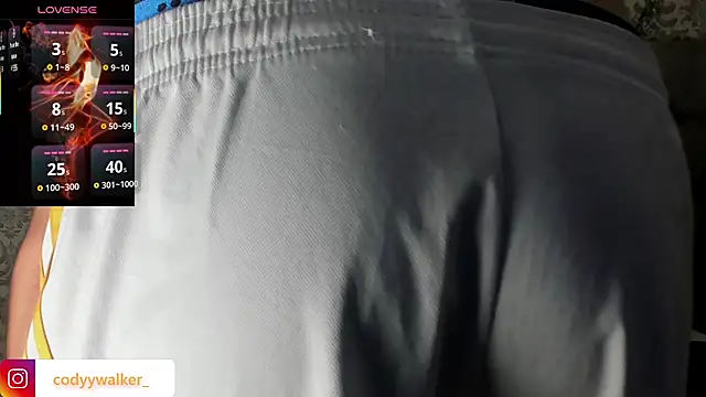 Snapshot of CodyWalkerR chatting on January 2026 05:29:02 PM CodyWalkerR online show from January 2026 05:29:02 PM