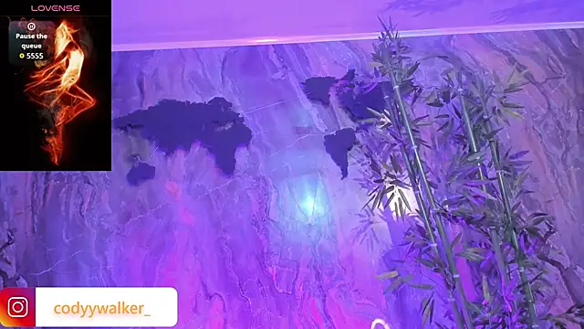 CodyWalkerR online show from April 2026 11:27:02 PM