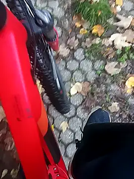 maleesa online show from October 2025 05:28:01 AM