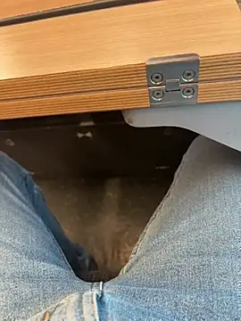 Snapshot of maleesa chatting on March 2026 04:06:02 PM maleesa online show from March 2026 04:06:02 PM