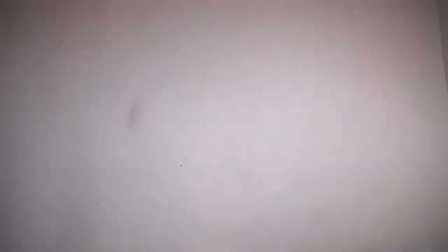 Osiiriis online show from February 2025 01:06:01 PM