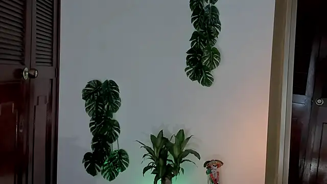 yandracelisofficial online show from March 2025 04:22:02 PM