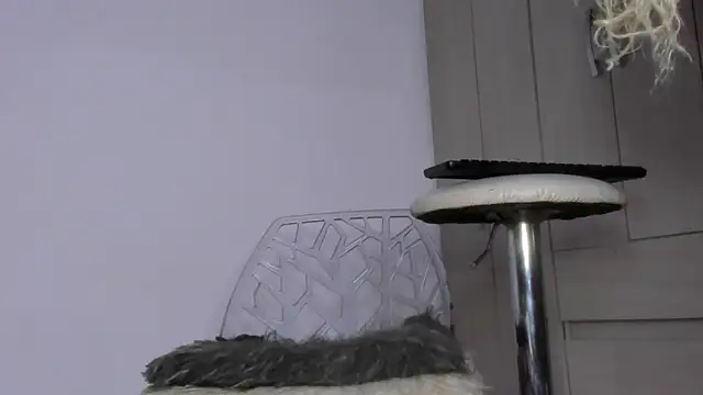 Kendall Hotsexy x online show from May 2026 07:03:01 AM