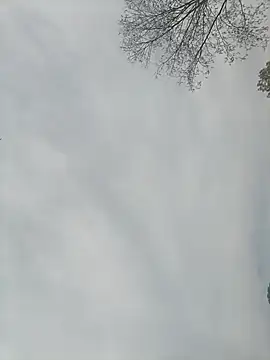 Nkumar173 online show from February 2025 05:26:02 AM