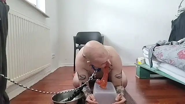 Snapshot of gaywolf426 chatting on April 2026 07:25:02 AM gaywolf426 online show from April 2026 07:25:02 AM