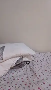 Snapshot of MaskedGQ chatting on November 2025 06:52:02 PM MaskedGQ online show from November 2025 06:52:02 PM