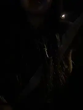 Snapshot of -mirai- chatting on February 2025 03:04:02 PM -mirai- online show from February 2025 03:04:02 PM