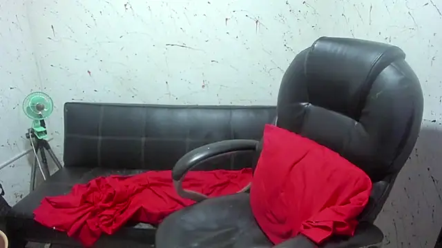  ace ventura online show from February 2026 03:20:01 PM