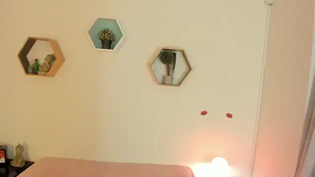 Snapshot of Paloma_victory chatting on March 2026 08:50:01 PM Paloma victory online show from March 2026 08:50:01 PM