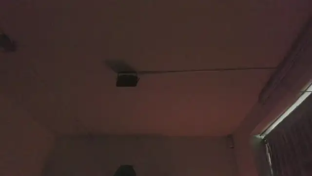 Snapshot of Paloma_victory chatting on April 2026 05:10:01 PM Paloma victory online show from April 2026 05:10:01 PM