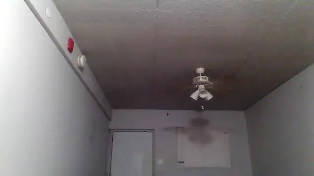 bigdick5157 online show from October 2025 10:56:02 AM