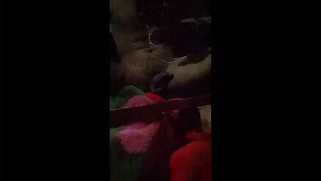 Snapshot of 008Alexan chatting on April 2026 03:31:02 AM 008Alexan online show from April 2026 03:31:02 AM