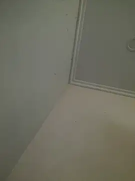 Snapshot of CieloTaylor chatting on February 2026 10:25:02 AM CieloTaylor online show from February 2026 10:25:02 AM