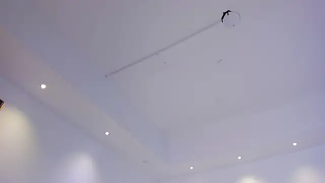 Snapshot of saracorraless chatting on December 2024 08:09:01 AM saracorraless online show from December 2024 08:09:01 AM