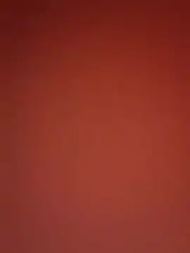 kikkastar online show from December 2024 10:59:01 PM