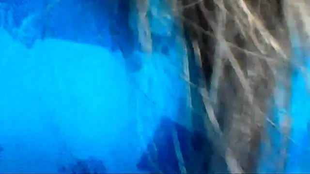 ArisaGonzalez online show from March 2026 11:33:02 AM