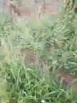 Snapshot of hotpussy-11 chatting on December 2024 03:35:01 AM hotpussy-11 online show from December 2024 03:35:01 AM