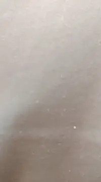 Snapshot of hotpussy-11 chatting on January 2025 08:22:01 AM hotpussy-11 online show from January 2025 08:22:01 AM