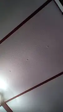 Snapshot of xDestineeXX chatting on December 2024 02:31:02 AM xDestineeXX online show from December 2024 02:31:02 AM